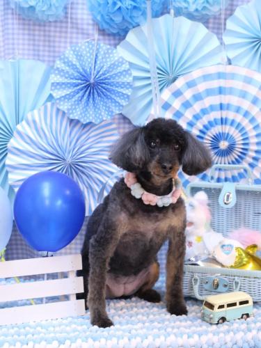 20231105ねねちゃん